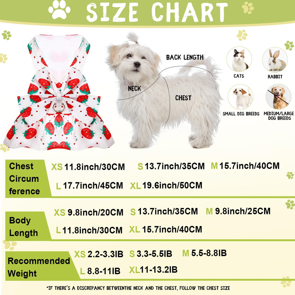 Bulyoou dog harness dress orange lemon closeup showcases bright party-ready style.