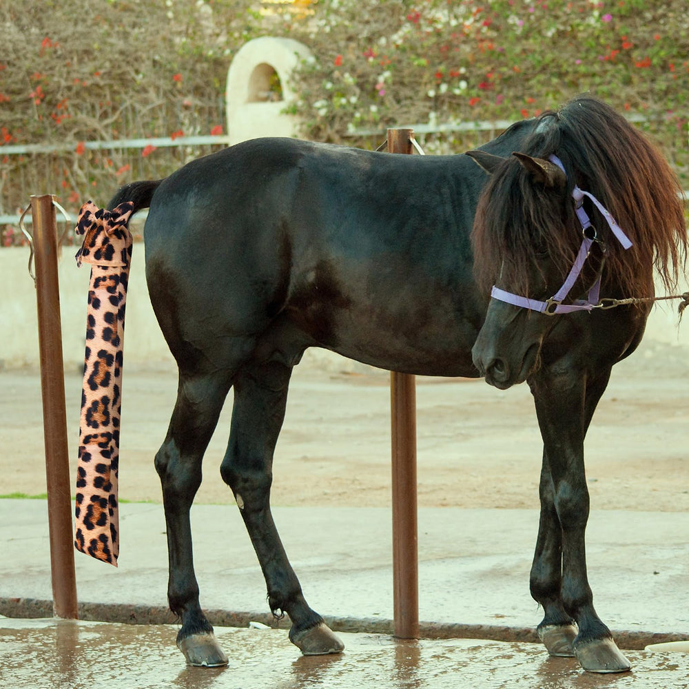 Bulyoou easy-clean tail bags simplify washing and maintenance after rides.