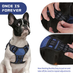 BUMBIN adjustable points ensure a secure fit across chest and torso for comfort