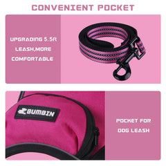 BUMBIN dog harness back-clip for casual walking and secure grip