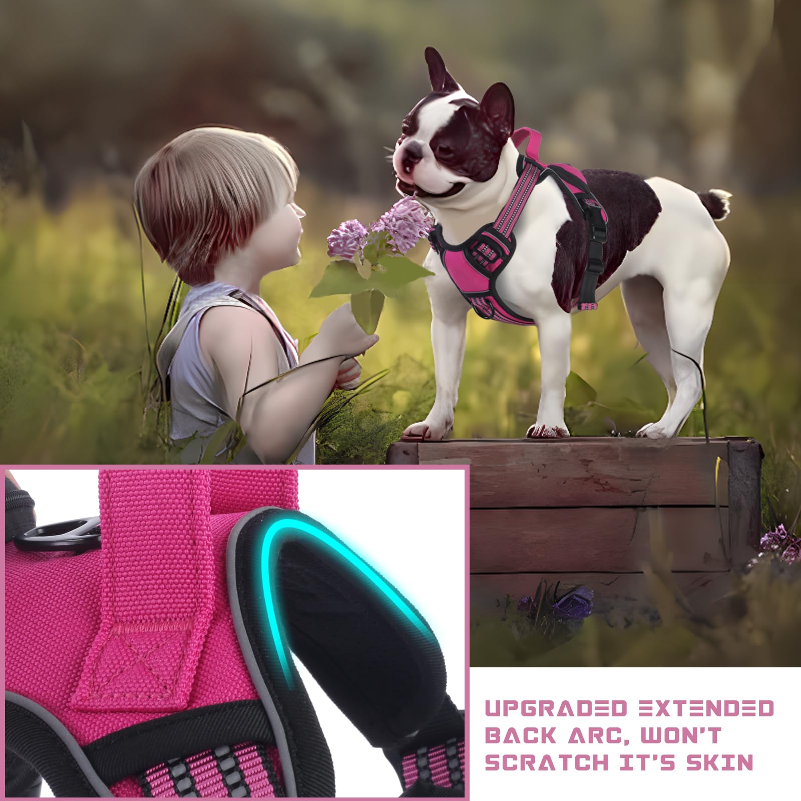 BUMBIN breathable air mesh keeps dogs cool during workouts