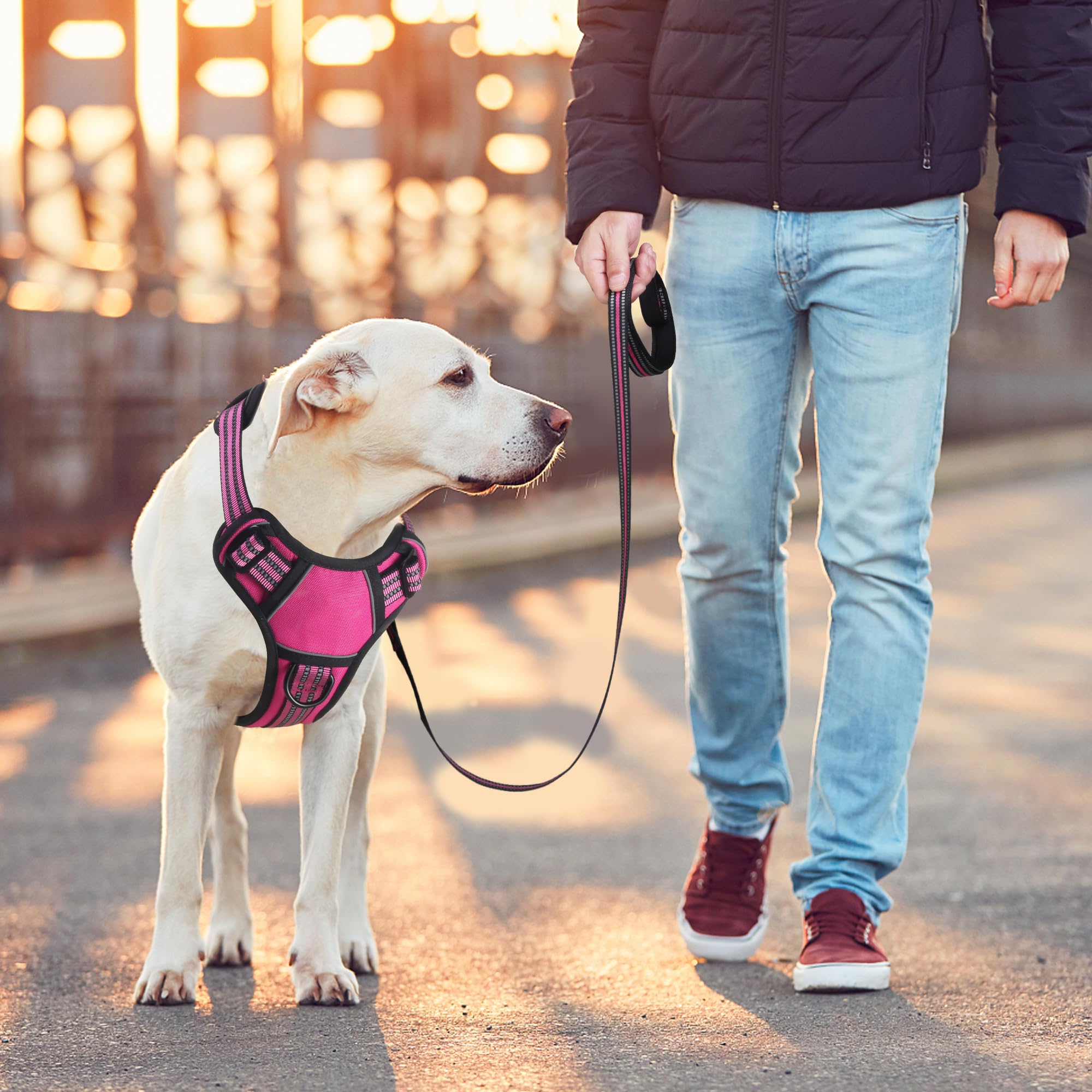 BUMBIN rose red harness with soft handle for steady leash control