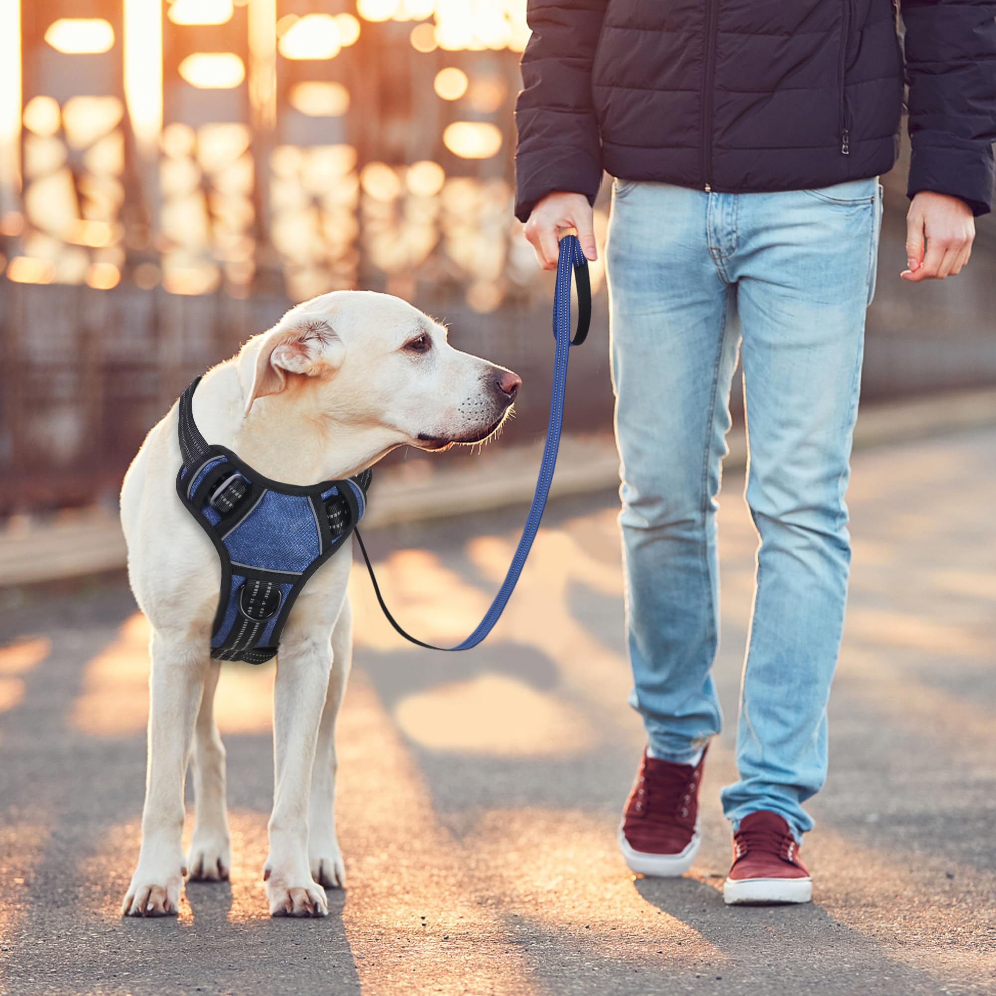 BUMBIN soft padding protects skin while breathable fabric keeps dogs cool