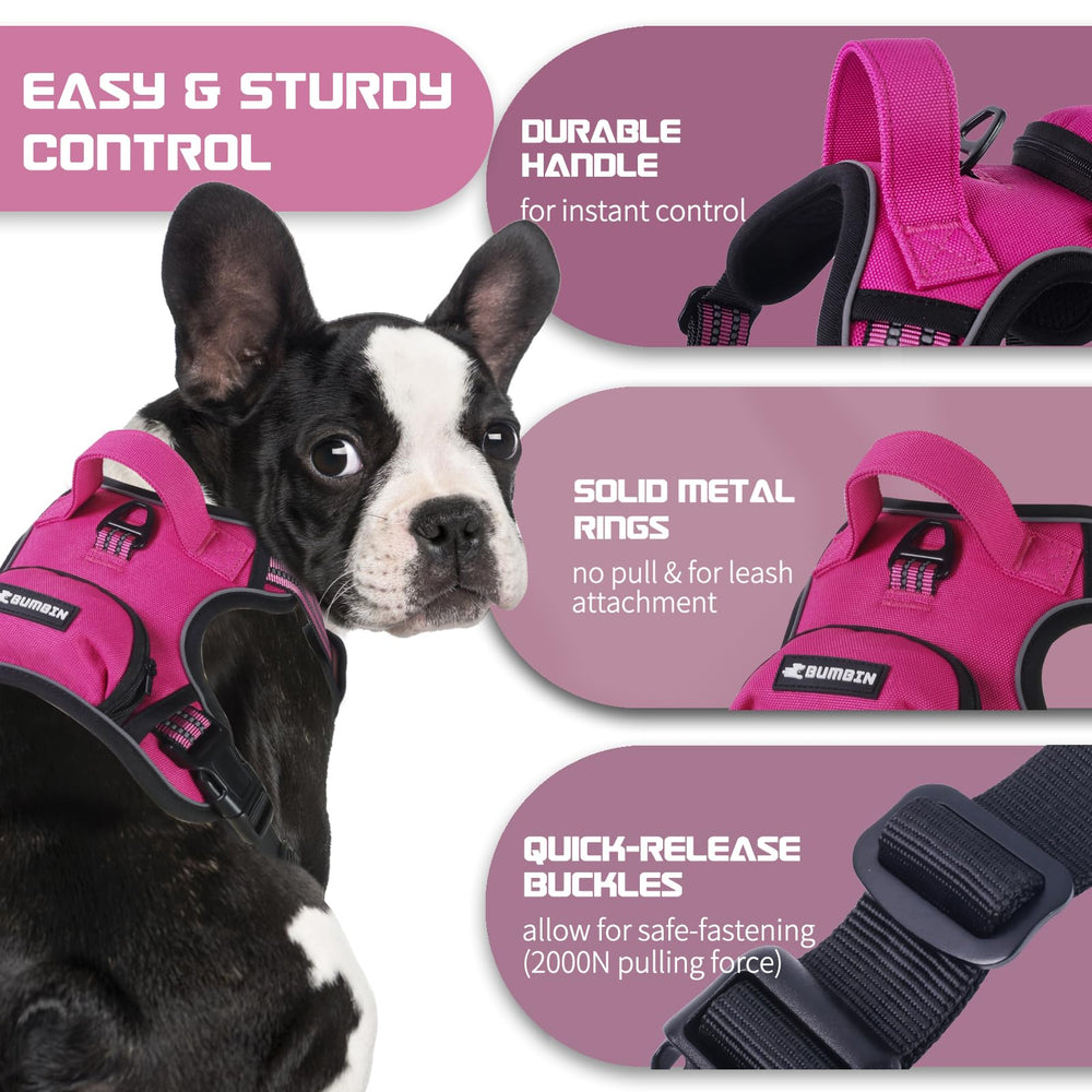 BUMBIN harness with soft padding to protect dog's skin during wear