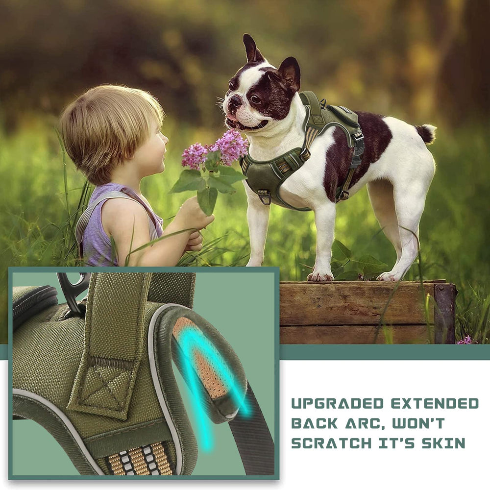BUMBIN breathable mesh keeps your dog cool on hot days