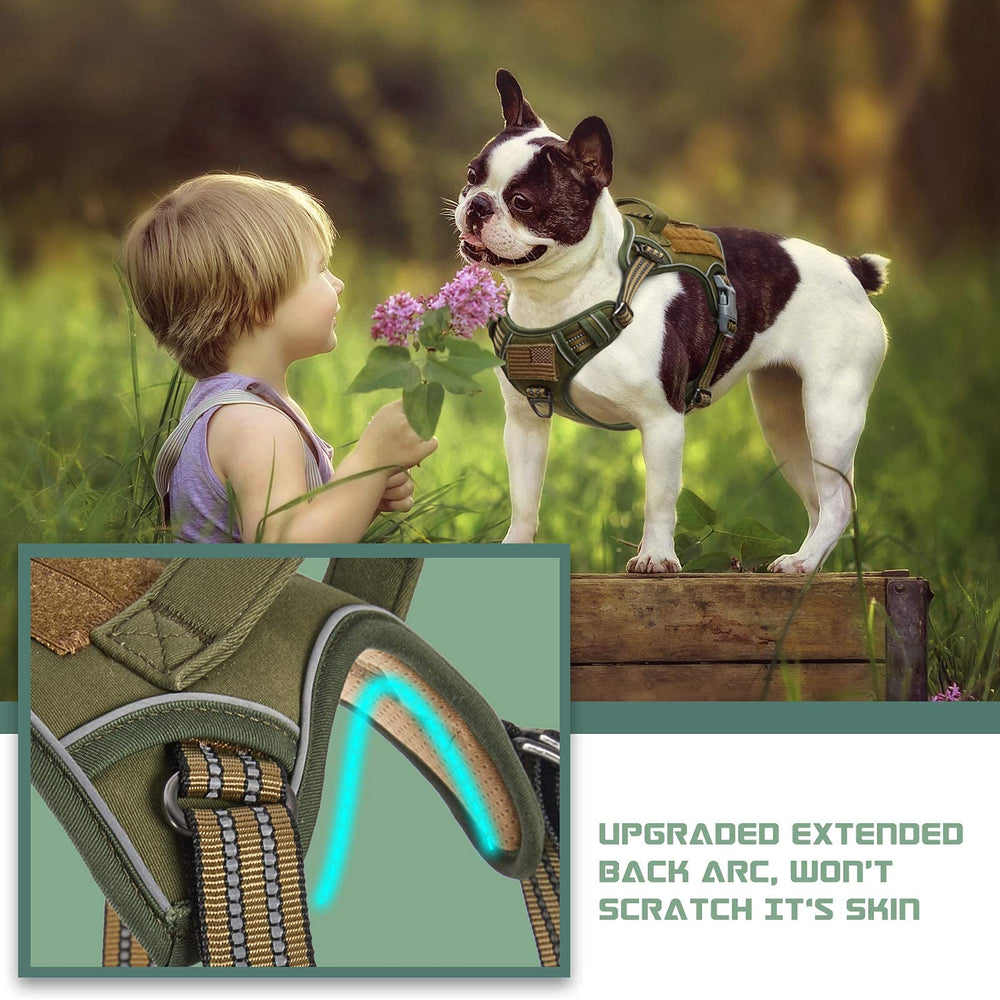 BUMBIN tactical harness back-clip-walking enables comfortable casual walks with controlled movement.