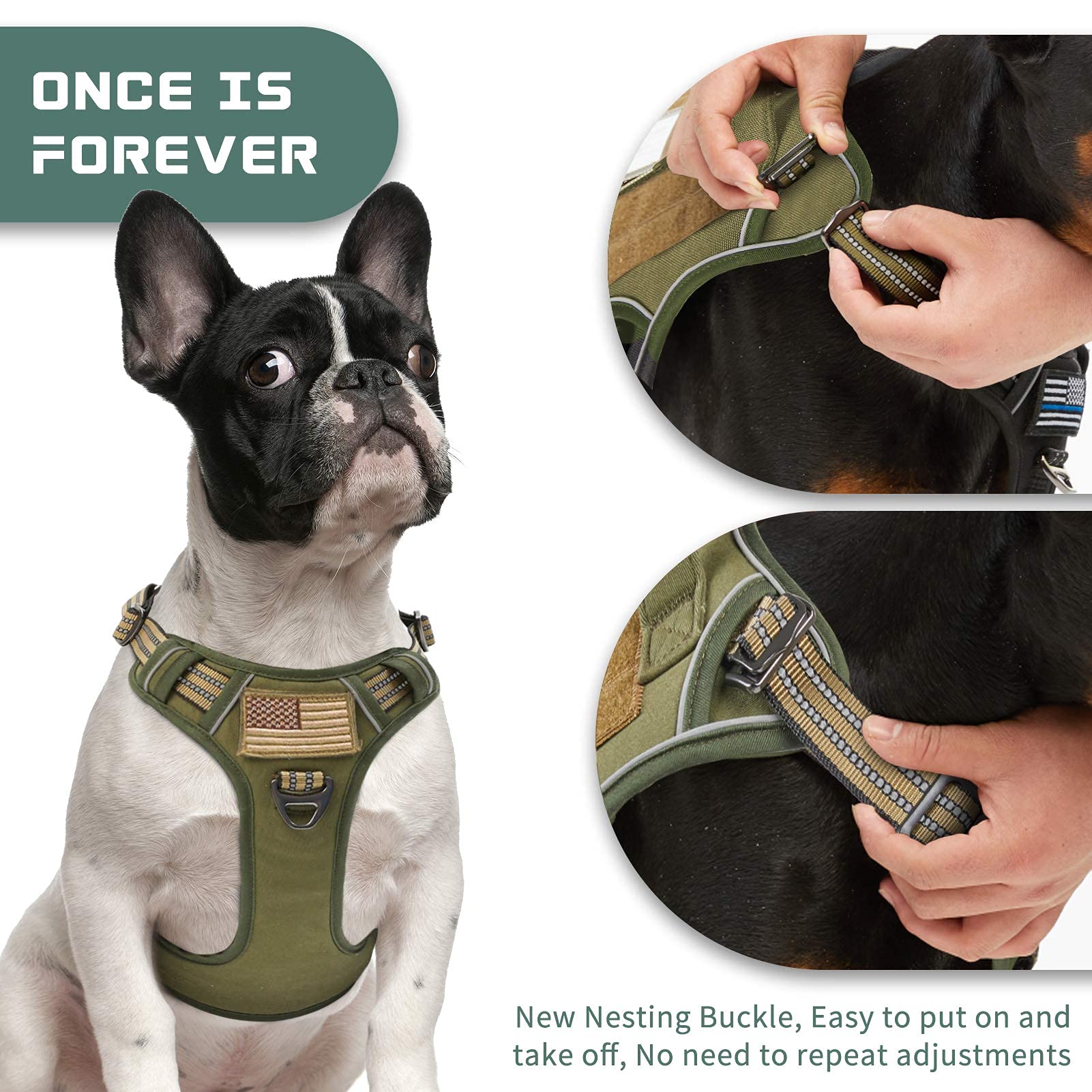 BUMBIN tactical dog harness front-clip-no-pull supports training and reduces pulling during sessions.