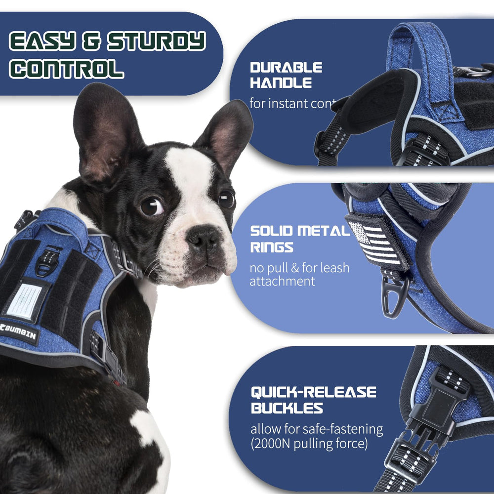 BUMBIN Tactical dog harness with MOLLE system for training gear and patches.