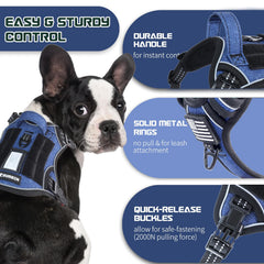 BUMBIN Tactical dog harness with MOLLE system for training gear and patches.