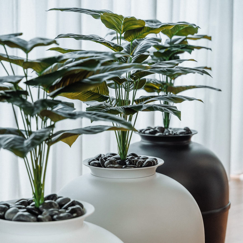 Bundle & Bliss easy-cleaning liner enhances routine maintenance