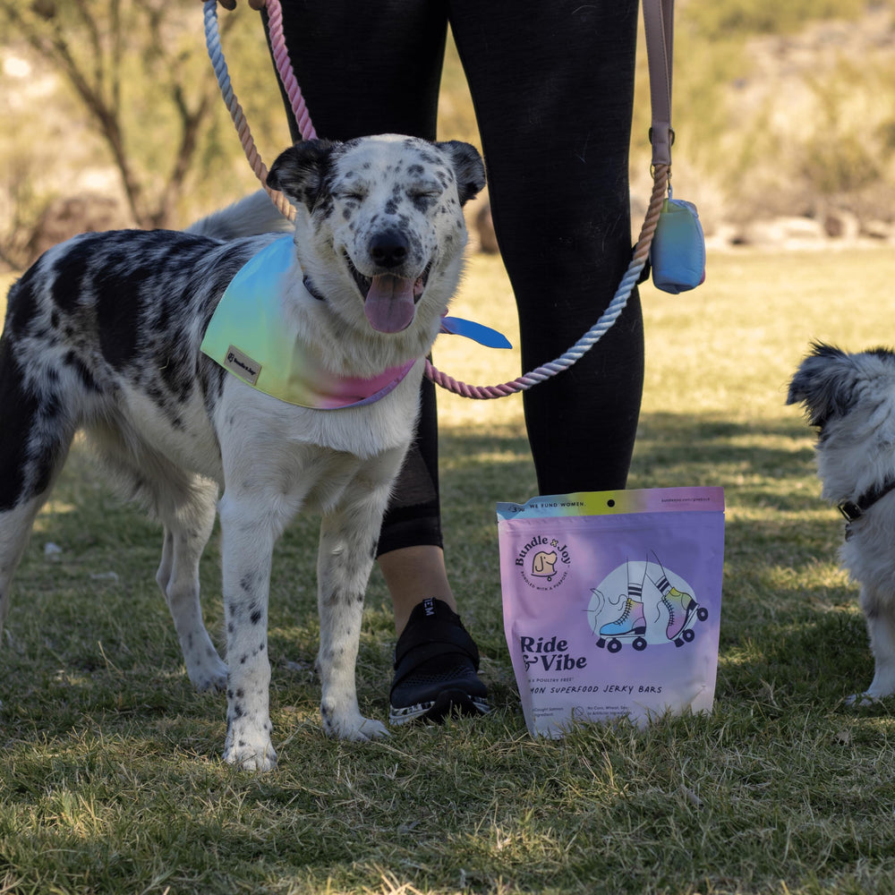 Bundle x Joy Ride Vibe Salmon Jerky dog snack piece demonstrates bite sized training reward