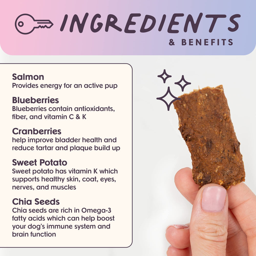 Bundle x Joy Ride Vibe Salmon Jerky ingredients image shows sweet potatoes and superfoods