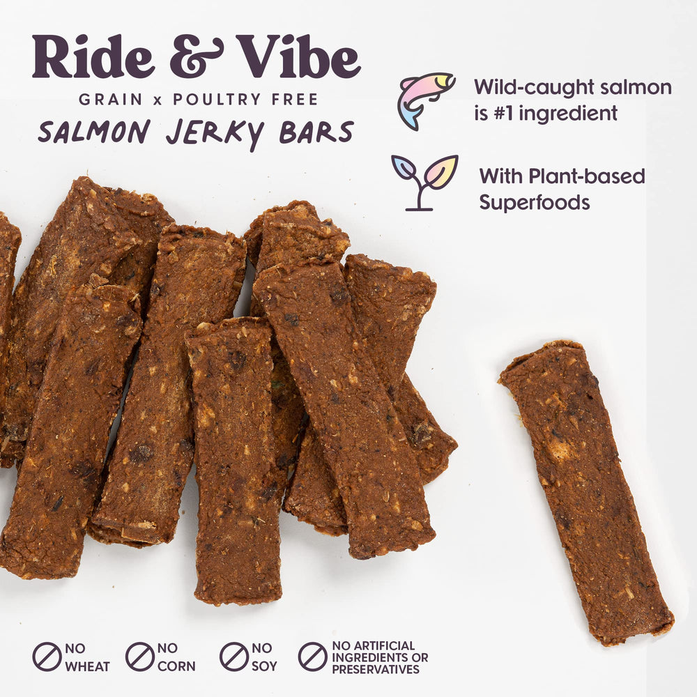Bundle x Joy Ride Vibe Salmon Jerky packaging detail emphasizes grain-free and clean label