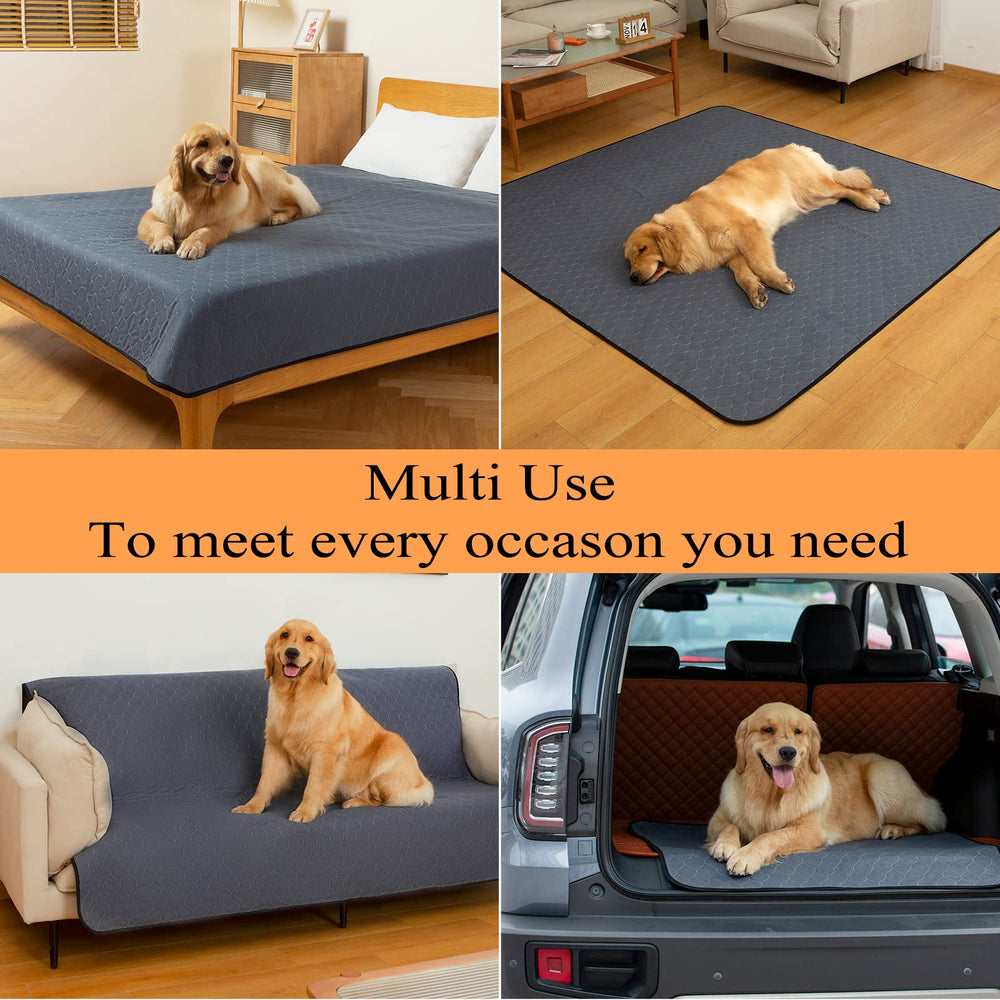 Bunlitent five-pack provides a bulk option for ongoing pet care