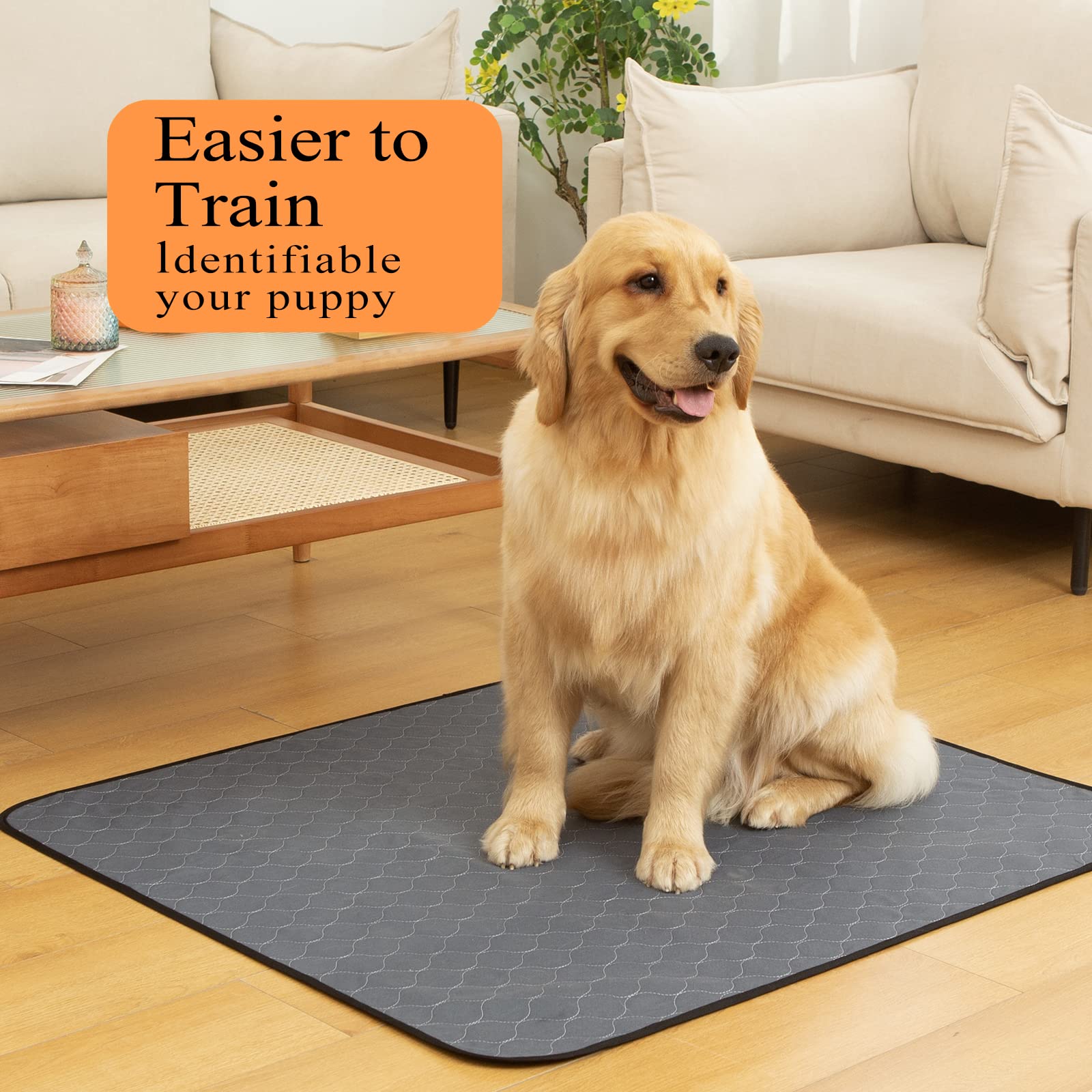 Bunlitent Washable Pee Pad quick-dry technology for fast moisture absorption.