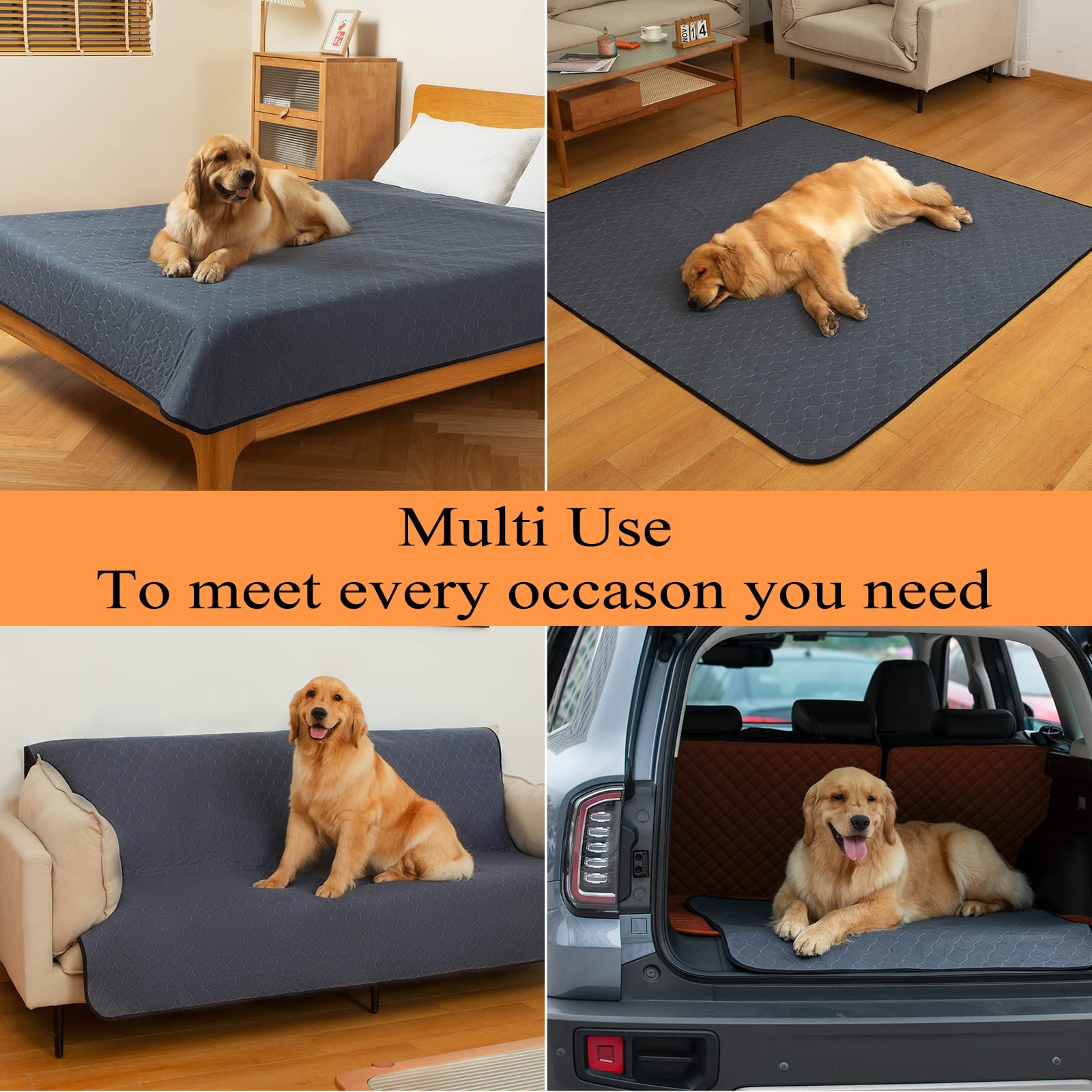 Bunlitent potty pad on a floor protecting surfaces during pet use
