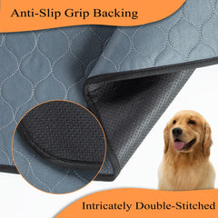 Bunlitent pad in use during overnight house-training with a puppy