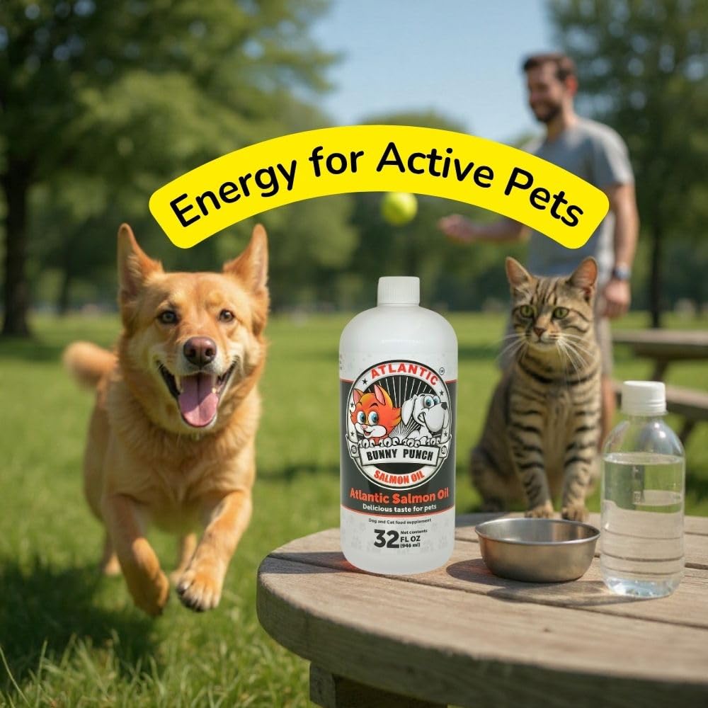 Cat coat softness from Bunny Punch Salmon Oil supplementation.