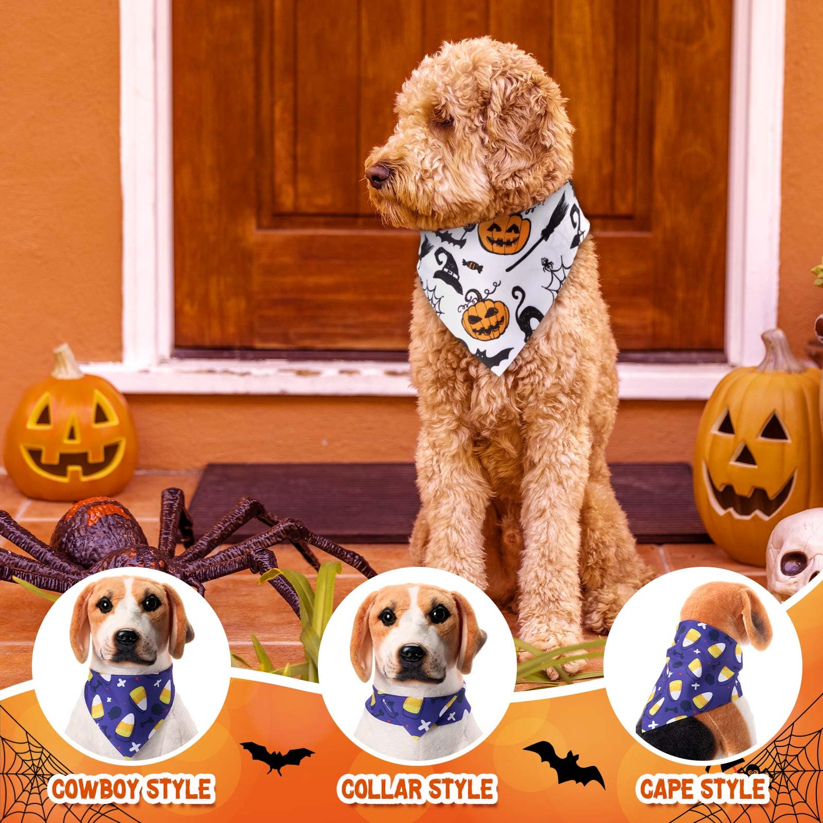 Bunnycool multicolor designs provide style variety for dogs.