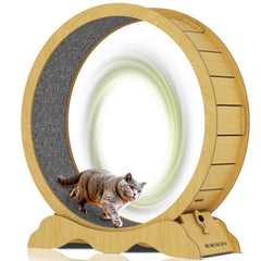 BURCHLIFE cat exercise wheel 45inch assembly demonstrates quick setup for indoor play.