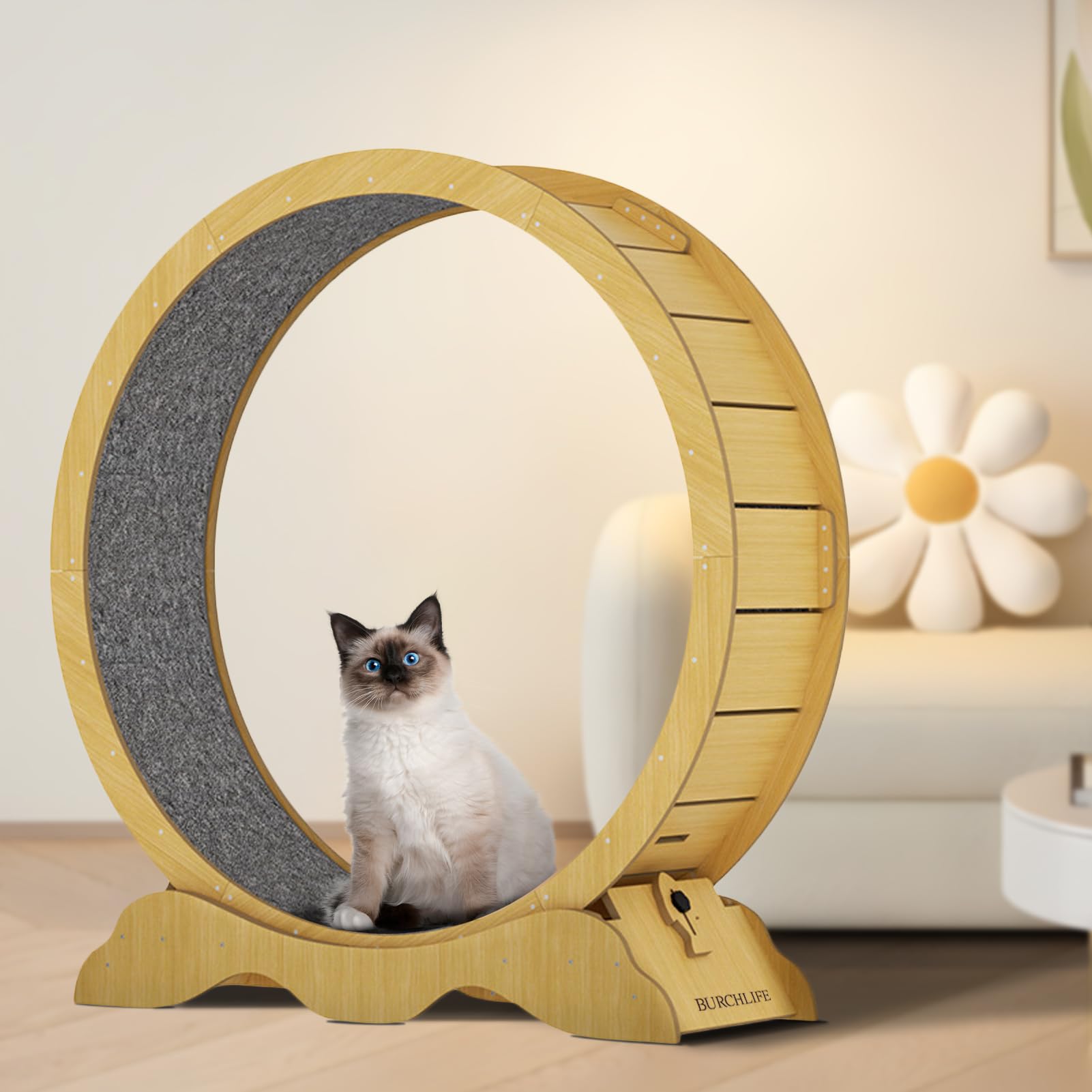 BURCHLIFE cat exercise wheel paw carpet emphasizes a comfy surface for claws.