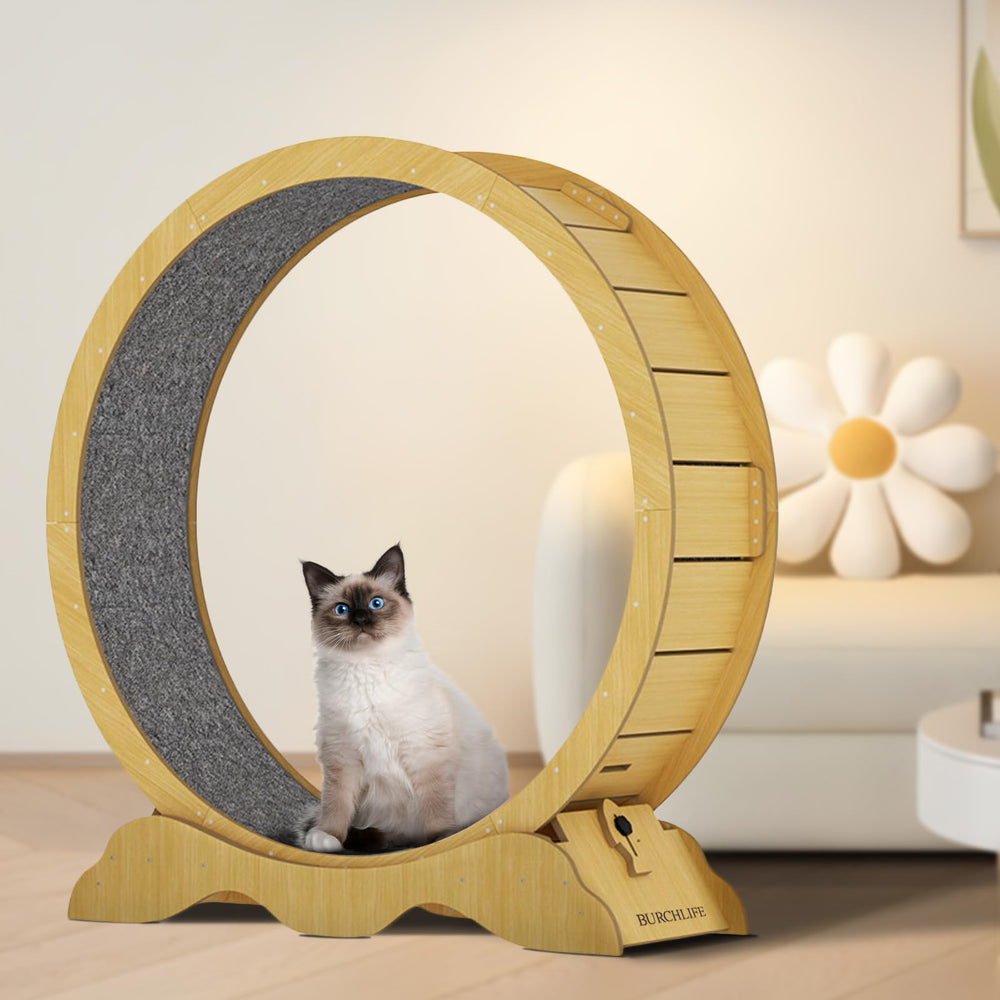 BURCHLIFE cat exercise wheel paw carpet emphasizes a comfy surface for claws.