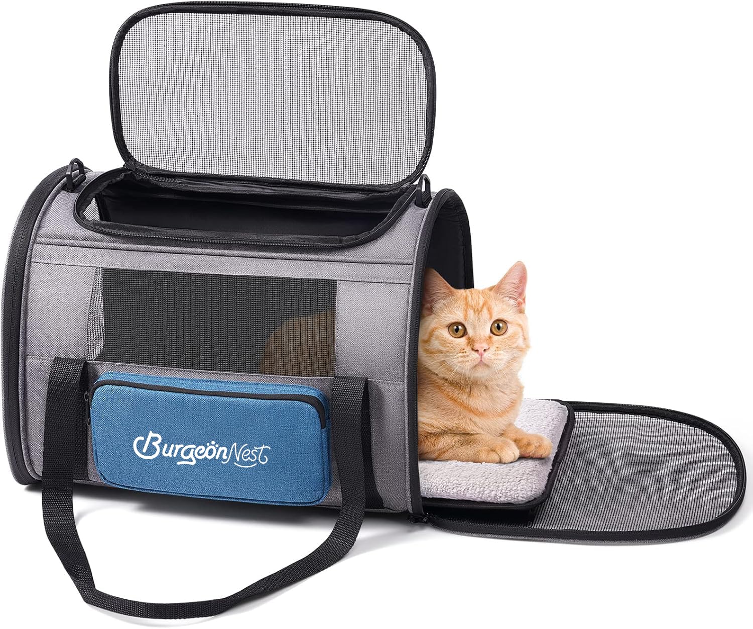 BurgeonNest cat carrier blue adjustable strap enables hands-free travel.