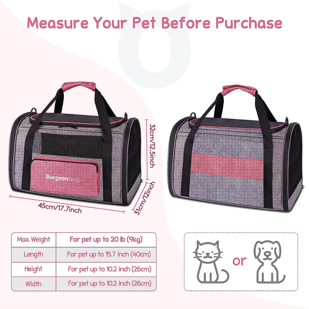 BurgeonNest cat carrier memory-frame highlights a sturdy structure for safe journeys.