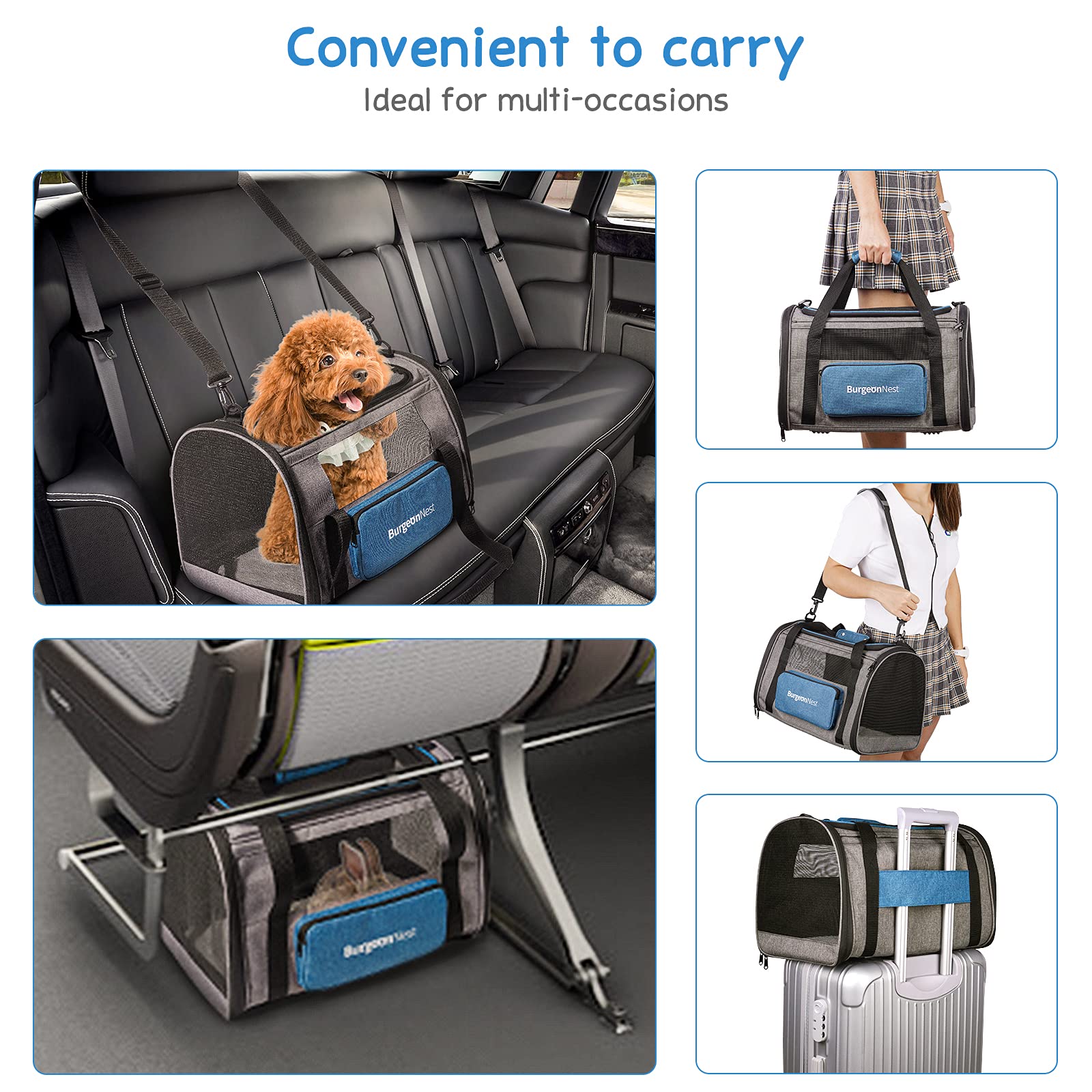 BurgeonNest removable washable cushion for easy cleaning after trips