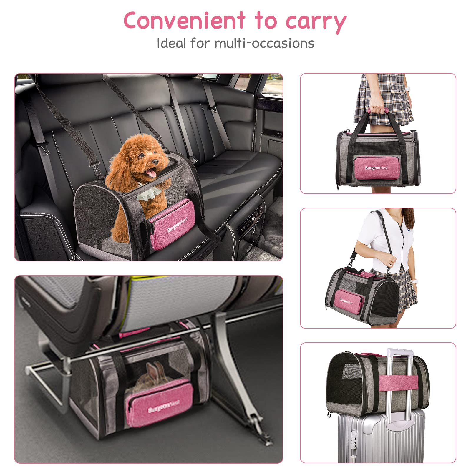 BurgeonNest cat carrier washable-cushion ensures a clean, cozy resting place.