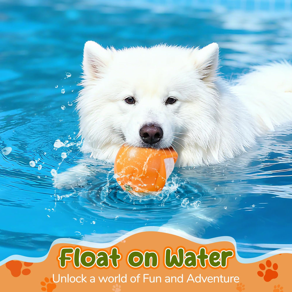 BURIESUR dog-toy-catch-game supports versatile indoor and outdoor play.