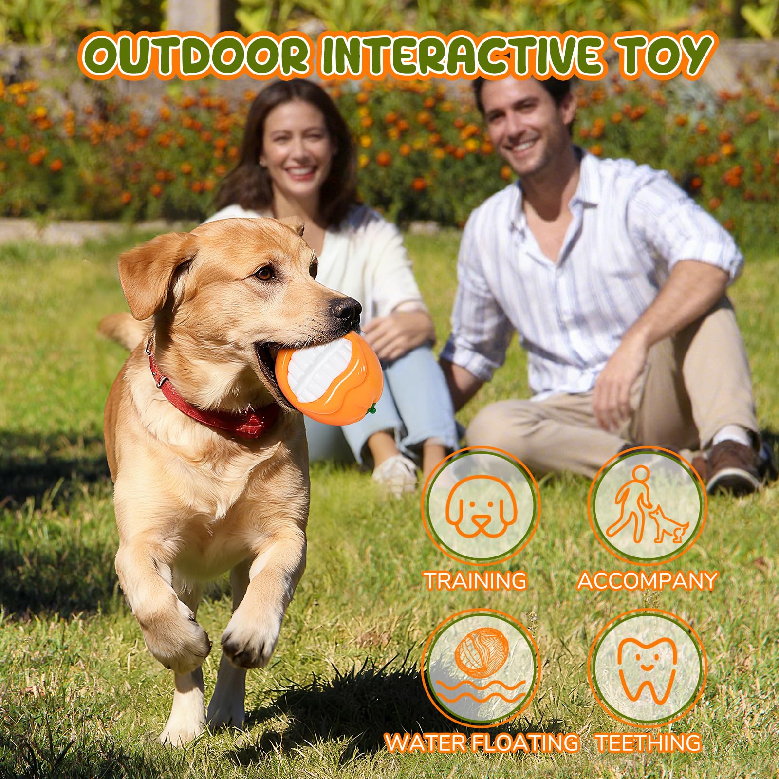 BURIESUR indestructible-dog-toy-teeth-cleaning reduces furniture wear during chews.