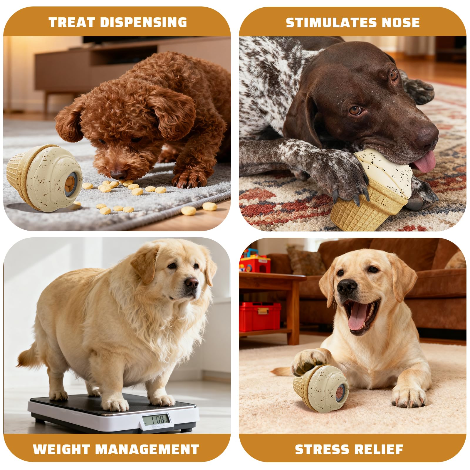 BURIESUR indoor-outdoor play versatility demonstrated for dogs of all sizes