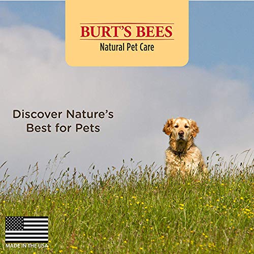 Hypoallergenic Burt's Bees for Pets wipes gentle for sensitive dogs.
