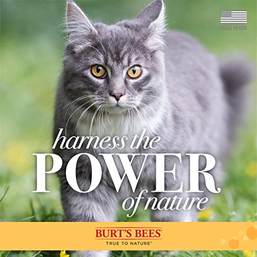 BURT'S BEES FOR PETS living room scene with calmer air and dander control