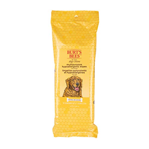 Back view of Burt's Bees for Pets wipes pack illustrating convenient pet care routine.