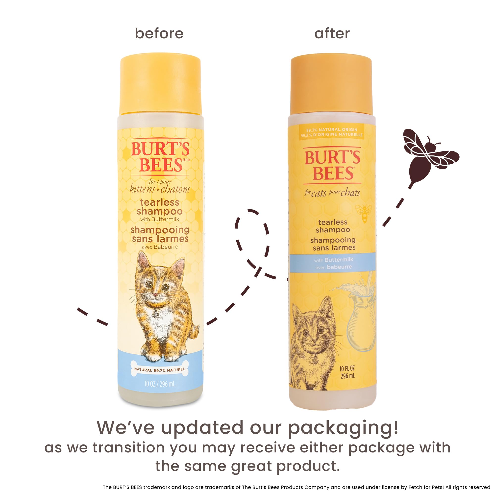 Burt's Bees for Pets Tearless Kitten Shampoo application on kitten's coat from ears to tail