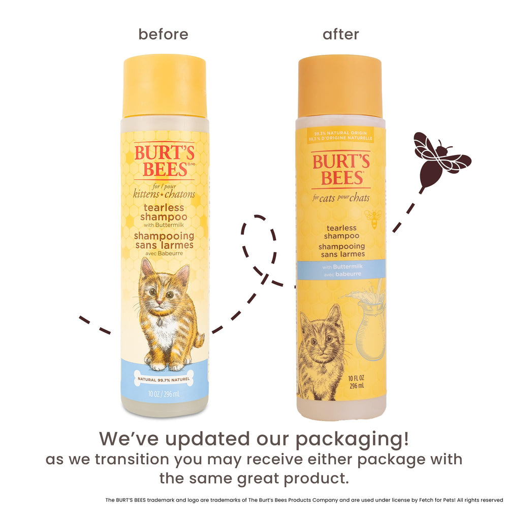 Burt's Bees for Pets Tearless Kitten Shampoo application on kitten's coat from ears to tail