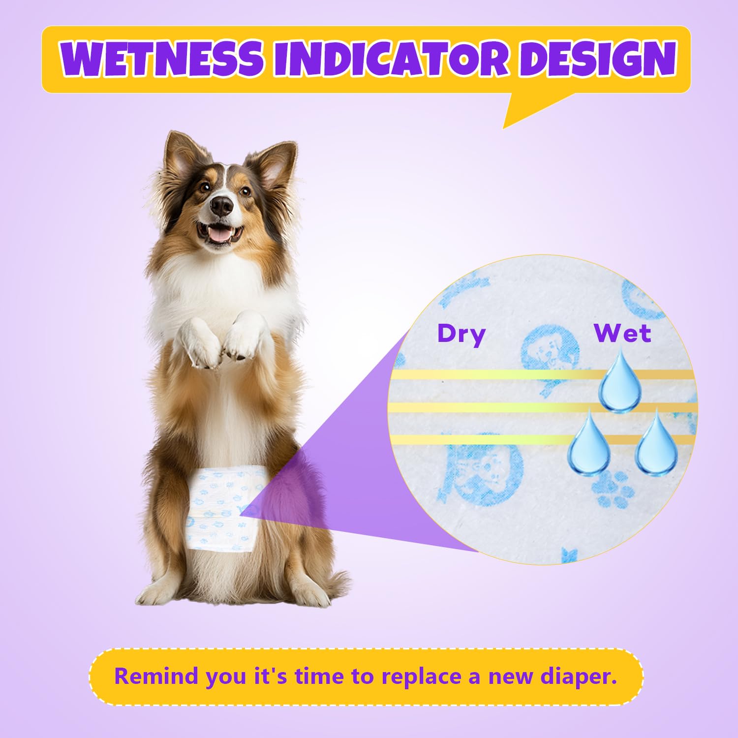 BURVAGY dog wearing wrap small size demonstrates discreet protection.
