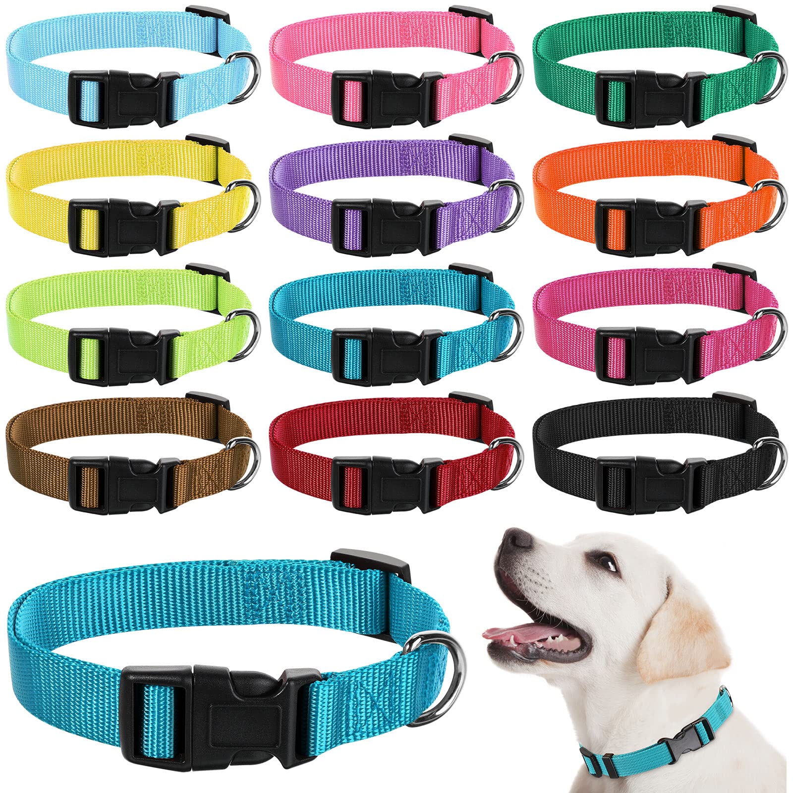 Buryeah 12-piece dog collar set in assorted colors for daily wear and easy color matching