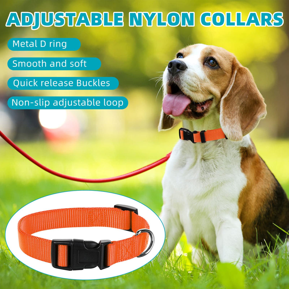 Buryeah nylon construction keeps collar lightweight yet durable through daily adventures