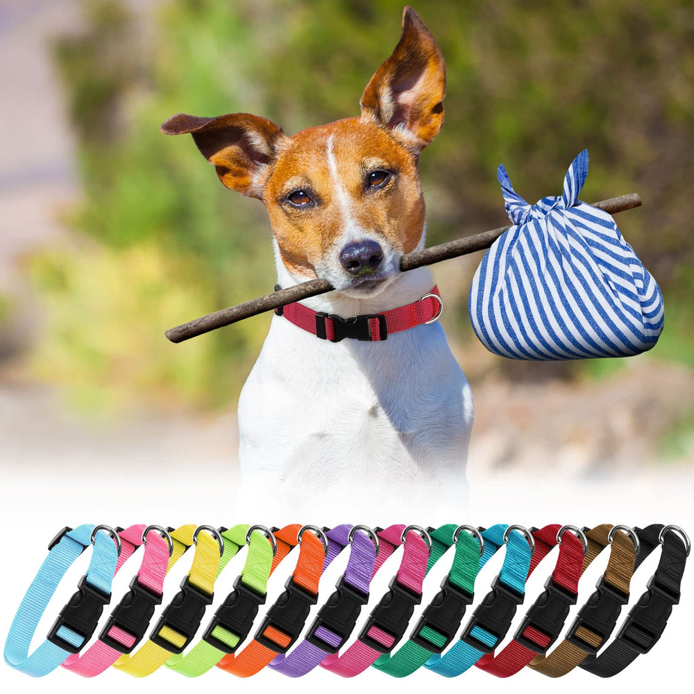 Buryeah 12-piece collar set packaging shown for gifting or replacement use