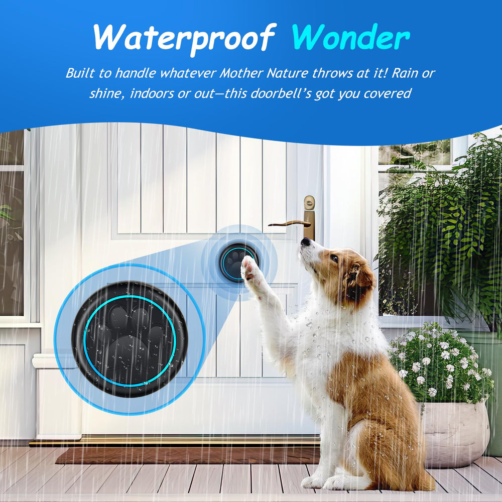 Busteelight Soft Ring Blk Dog Bell multiple-entry setup signals from different doors.