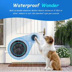 Busteelight Soft Ring Blk Dog Bell multiple-entry setup signals from different doors.