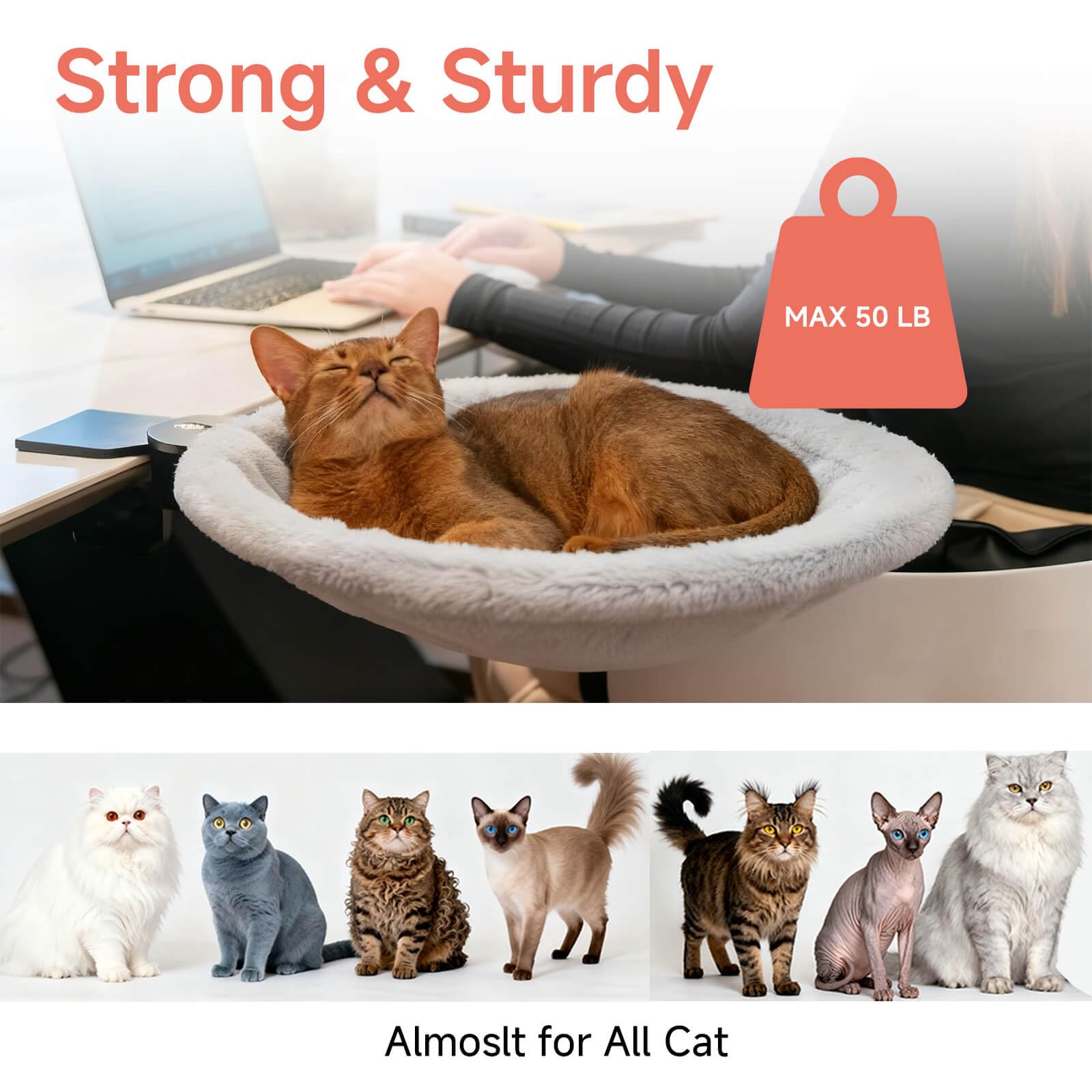 ButtonwoodNest cat desk bed 15-inch perch keeps cat nearby while you work