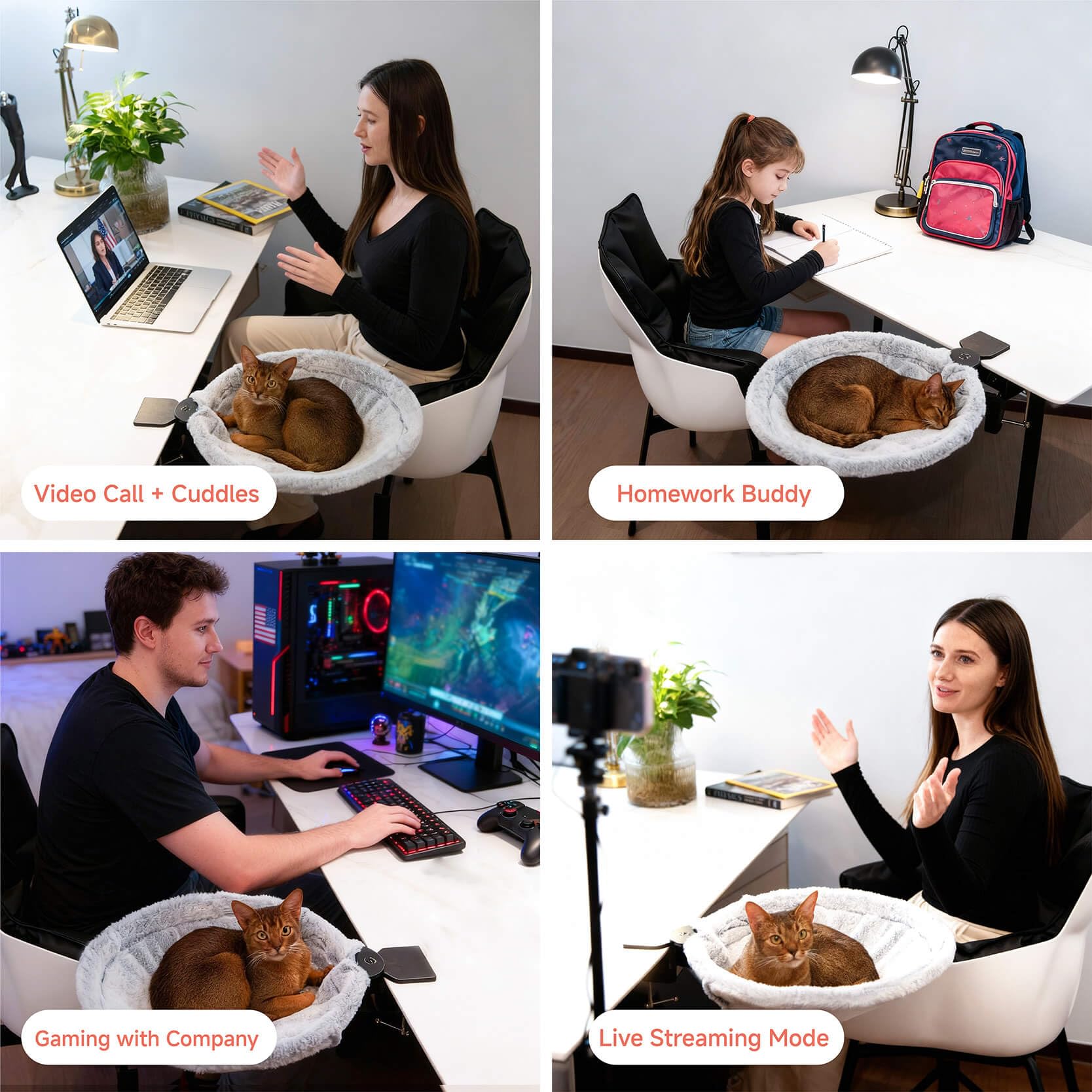 ButtonwoodNest cat desk bed g-clip secures safely for desk-mounted use