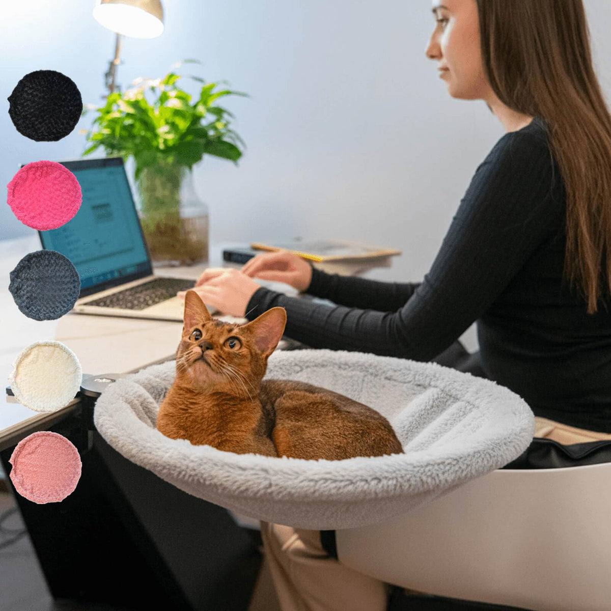 ButtonwoodNest cat desk bed steel frame provides sturdy cat perch beside your workstation