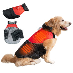 BUVUB heated dog coat front view showcases warmth-ready design for winter walks.