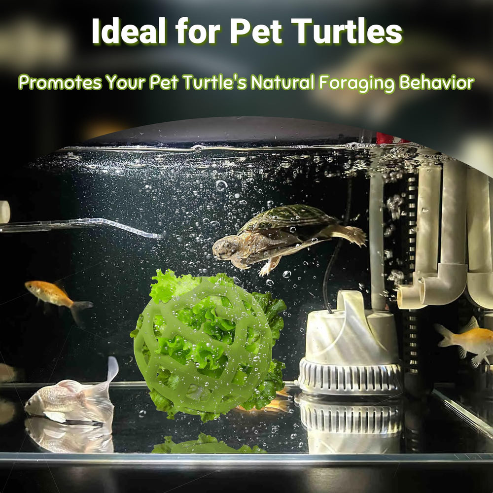 BUYBYLOV Turtle Feeder Ball enrichment scene emphasizing bonding during mealtime