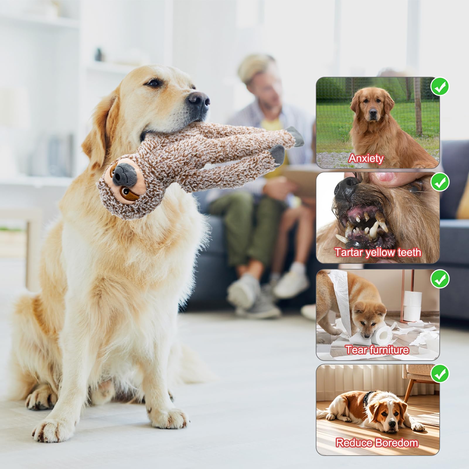 BUYPOW plush-soft dog toy focuses on gentle chewing with comfy material